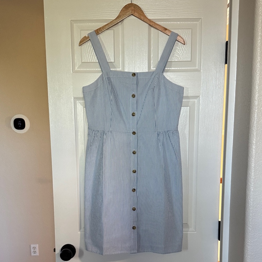Striped Blue Button-Down Dress